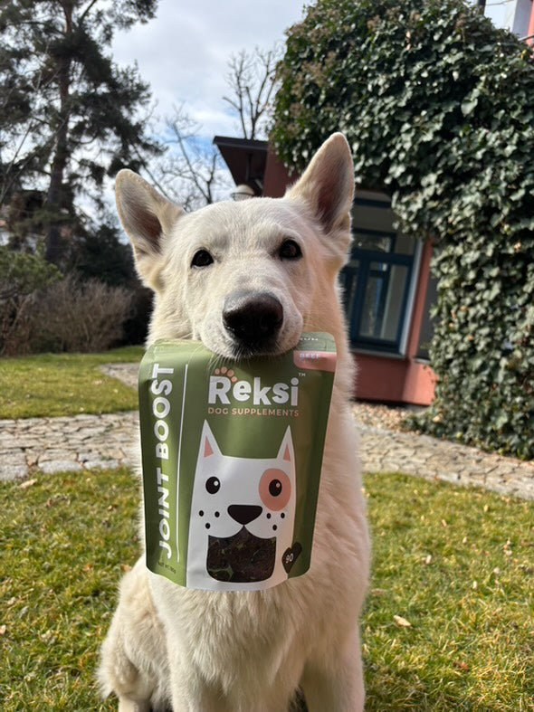 Reksi Joint Support Chewies