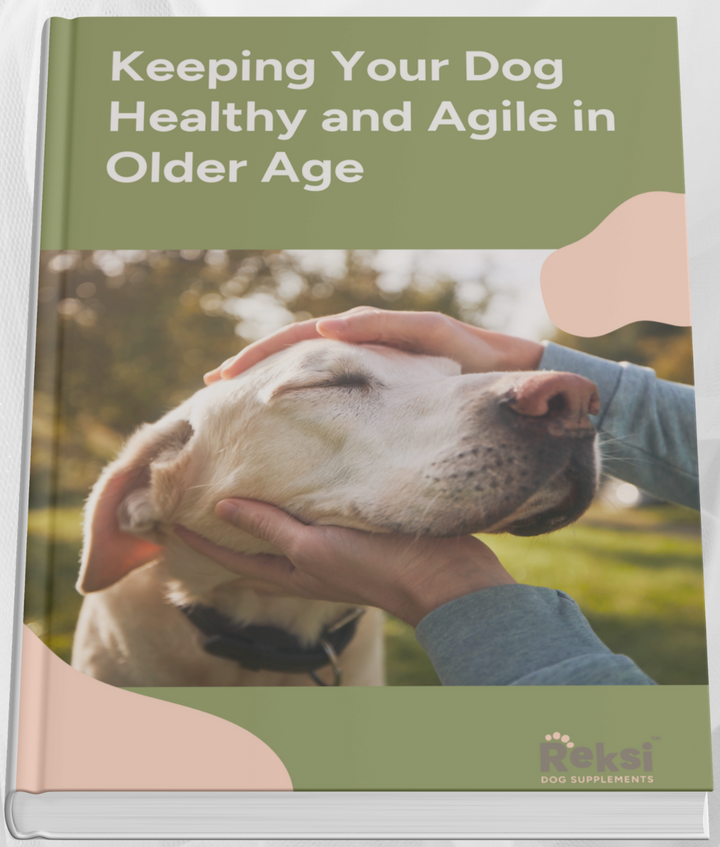 E-book Keeping Your Dog Healthy and Agile in Older Age