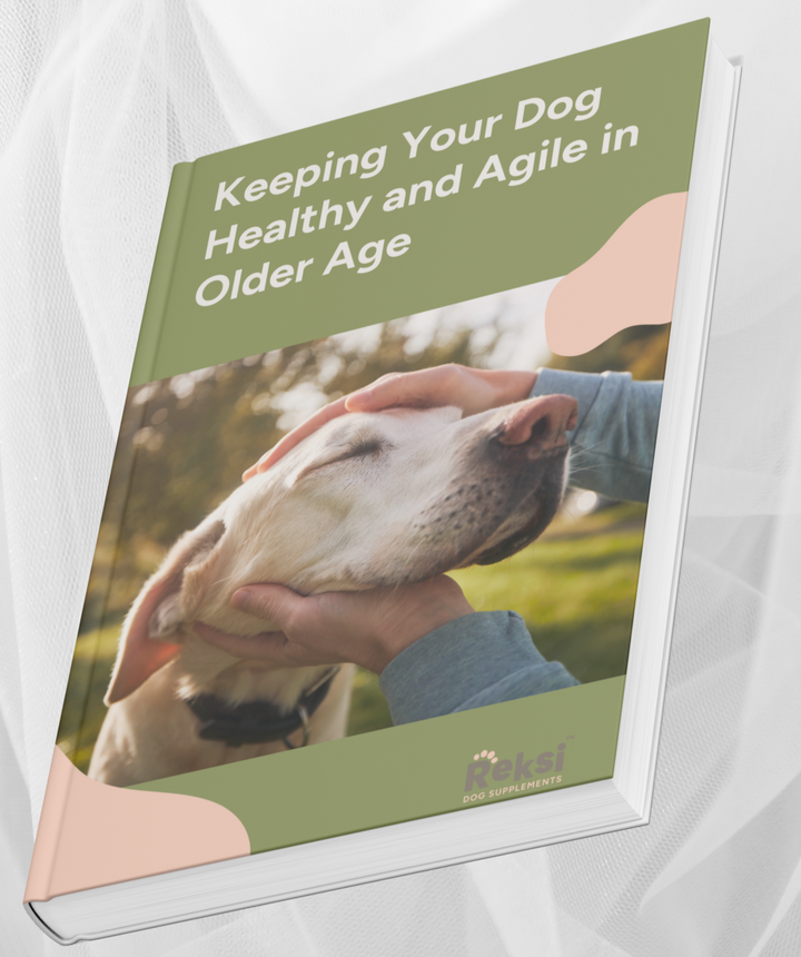 E-book Keeping Your Dog Healthy and Agile in Older Age