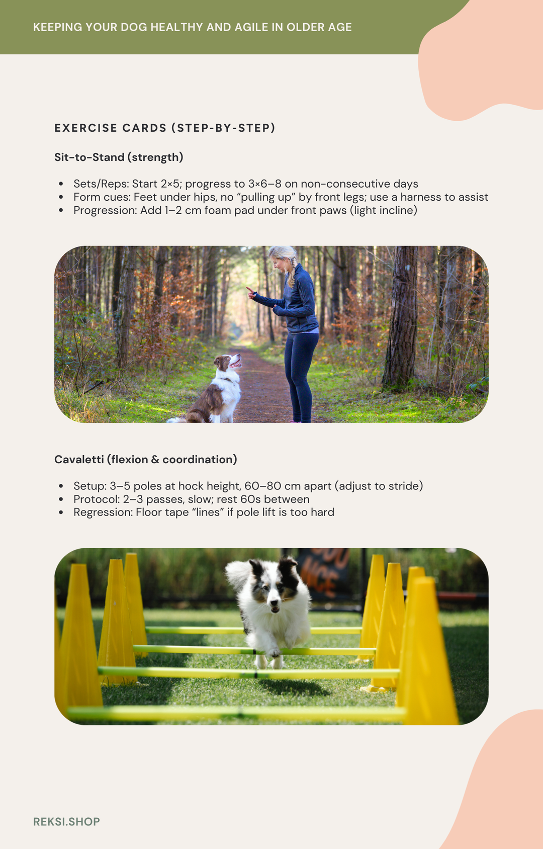 Reksi Joints Starter Pack: 2 Reksi Joints + Ebook for Seniors